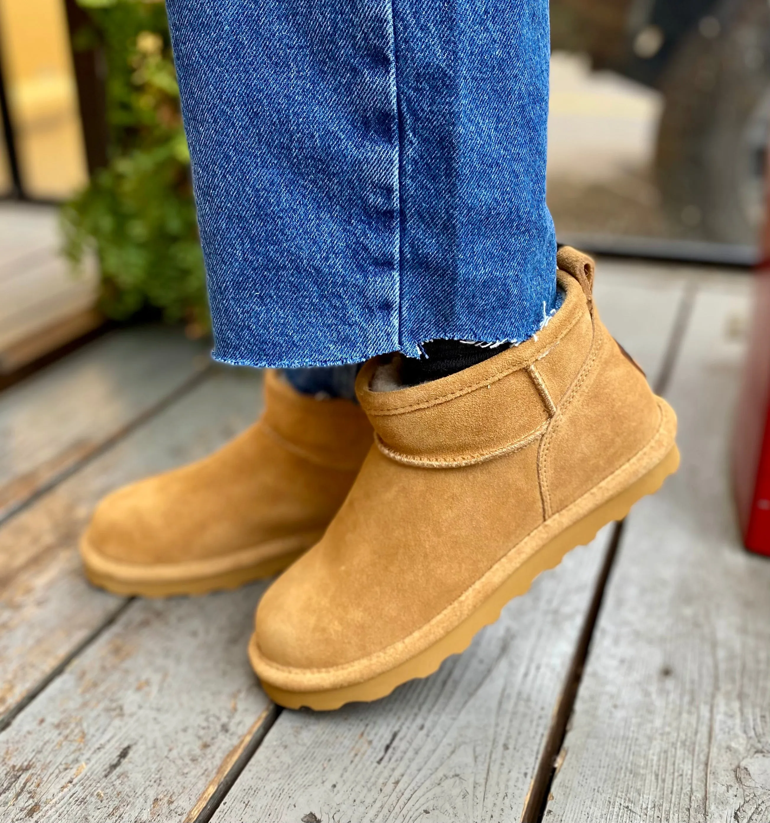 Bearpaw Shorty