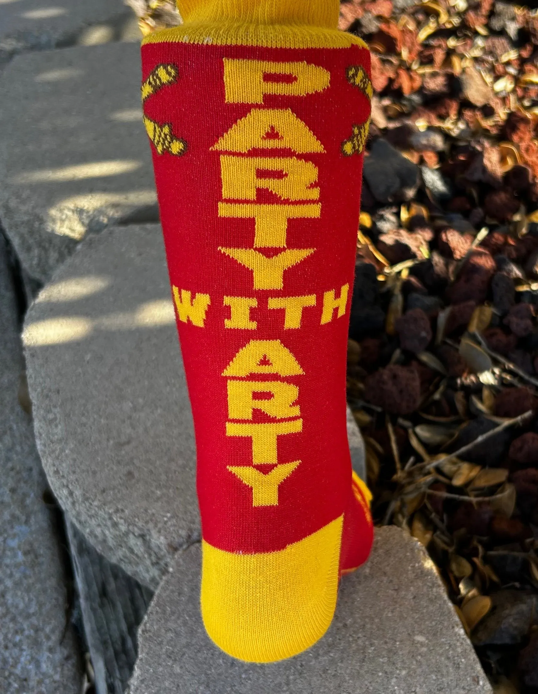 Party With Arty Socks